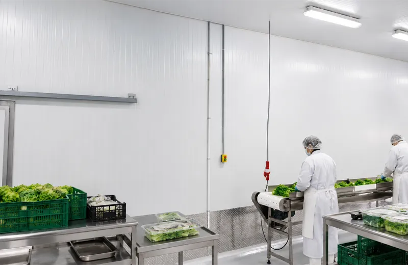 Industria agroalimentaria con panel aislado